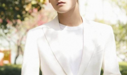 吃瓜爆料邢昭林鹿晗,娱乐圈的甜蜜与争议